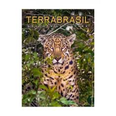 Terrabrasil - Vol. 1