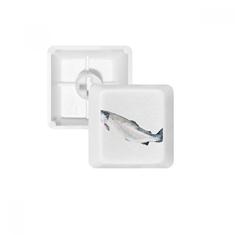 Kit de atualização de teclado mecânico PBT teclado mecânico Ocean Fish Fresh Activity