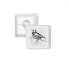 Kit de atualização para jogos de teclado mecânico PBT com pintura de pássaro, linha voadora