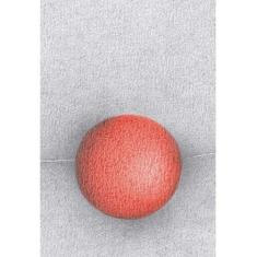 Vermelho - EDIÇOES BARBATANA