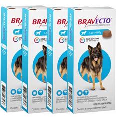 Antipulgas E Carrapatos Bravecto MSD 1000mg Para Cães De 20 A 40kg - Combo Com 04 Unidades