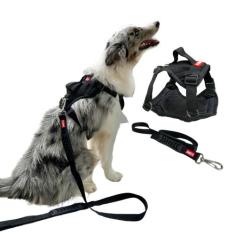 Peitoral Modelo Safari com Guia para Cachorro - Tamanho G - Canadá K9 