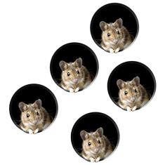 MOOKEENONE 5X Wall Stickers Realistic Wallpaper 3D Mouse Sticker Mouse in A Hole