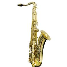Saxofone Tenor Ts 200 Laqueado Dourado Com Case New York [F097]