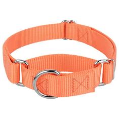 Coleira Country Brook Petz Martingale para cães - Coleira de treinamento resistente sem fivela - Coleira para cães de serviço para todos os filhotes - Coleção vibrante e colorida (manga, 2,5 cm,