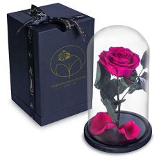 Rosa Encantada Eterna Preservada Box Luxo na Cúpula de Vidro