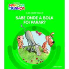 Sabe Onde A Bola Foi Parar?