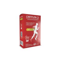Cartflen C2 Colageno Tipo Ii 60 Comp Hf Suplementos