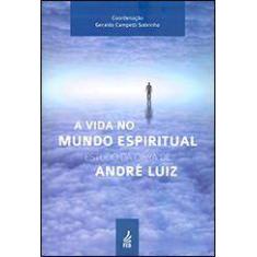 A Vida No Mundo Espiritual - Feb