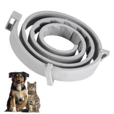 Coleira Anti Pulga Cachorro Gato Cao Pet Leishmaniose Carrapato Canino Felino Tamanho Ajustavel Resistente Eficaz Segurança Proteçao