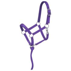 Tough 1 Cabresto em miniatura acolchoado de nylon, roxo, pequeno