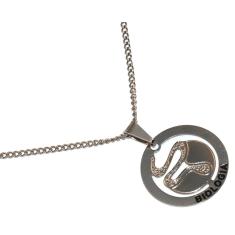 Colar Cordão Minha Profissão Biologia Bióloga Inox