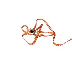 Kit de Peitoral e Guia Ajustável RBPet - Cães e Animais de Mini Porte