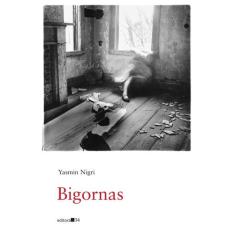 Livro - Bigornas