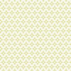 Papel Parede Abstrato Verde Claro Auto Colante Sala Quarto