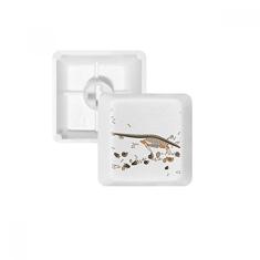 Teclado mecânico em miniatura de dinossauro, teclado mecânico PBT da Bones Black