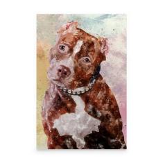 Quadro Cachorro Pitbull Colorido Arte Aquarela Canvas Grande - Bimper
