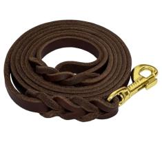 Coleira de couro para cães de 1,8 m x 1/5.1 cm, trelas trançadas resistentes com fecho giratório, coleira de treinamento de cães de couro genuíno feita à mão para cães pequenos e médios