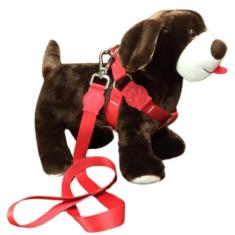 Coleira Peitoral Seda Cachorro - 25mm Vermelho nº 4  Nicapet