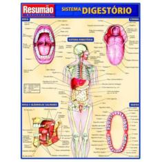 Sistema Digestorio - Resumao