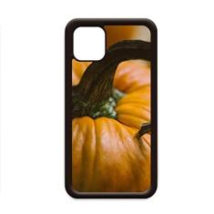 Imagem de abóbora fresca fotografia natural para iPhone 11 Pro Max capa para celular Apple