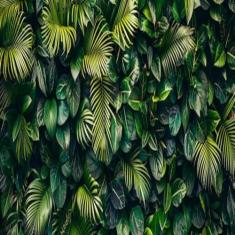 Pedal Partida Gp7 Ybr 125