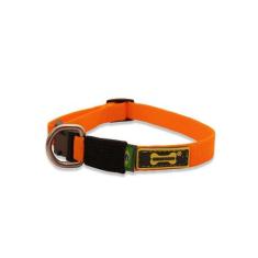 Coleira Cachorro Pequeno Filhote Little Collar Amorosso,  Laranja