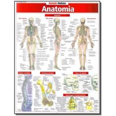 Anatomia
