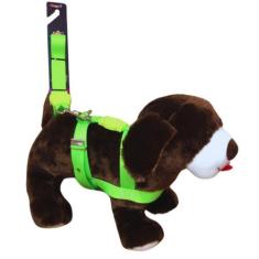 Coleira Peitoral Tradicional Seda Neon Cachorro 25Mm Cor - Nicapet