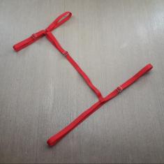 Coleira Gargantilha - Para Todas Lingerie, Vermelho