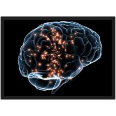 Quadro Decorativo Psicologia Profissão Cérebro Decorações Com Moldura 