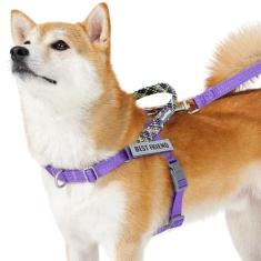 Wuffley Conjunto de coleira e coleira para cães Easy Walk, Freedom sem puxão, com 2 adesivos, à prova de fuga/ajuste rápido para ajustar o peitoral para cães, fácil de treinar, caminhar para cães