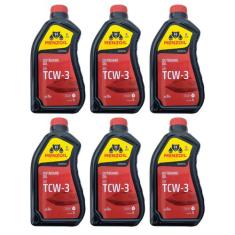 Menzoil TCW3 Óleo Náutico Premium 2 Tempos 1 Litro Para Jet Ski e Moto