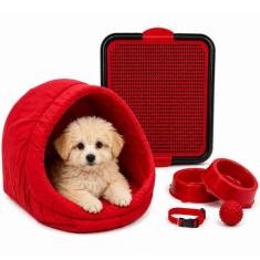Kit Cama Toca Iglu Pet Médio Sanitário Comedouro Coleira Bolinha - Sup