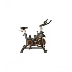 Bicicleta Spinning Evolution Fitness Sp 300