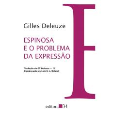 Espinosa e o problema da expressão