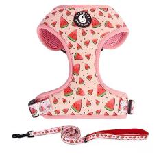 Conjunto de coleira e coleira para cães, peitoral ajustável, coleira para cães, sem puxar, sem asfixia, para treinamento de caminhada para animais de estimação pequenos e médios