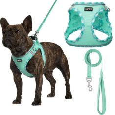 Conjunto de arnês para cães AMTOR Small com coleira para treinar e cam