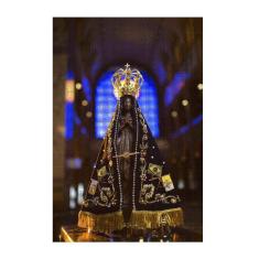 Quebra-Cabeça Cognitivo Rainha Aparecida 300 Peças