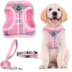 PUPTECK Conjunto de coleira e coleira ajustável para cães, sem puxão, para cães pequenos, médios, filhotes e gatos, caminhada ao ar livre, corrida, colete refletivo acolchoado de malha macia, rosa, P