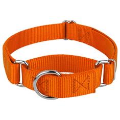 Coleira Country Brook Petz Martingale para cães - Coleira de treinamento resistente sem fivela - Coleira para cães de serviço para todos os filhotes - Coleção vibrante e colorida (laranja, 2,5 cm,
