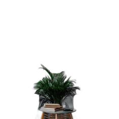 Kit 4 Quadros Fotografias Verdes 45X34Cm - Quadros On-Line