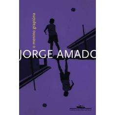 Livro - O menino grapiúna