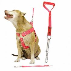Coleira Peitoral Cachorro Guia Adaptador Pit Bull ANTI PUXÃO - dedcase