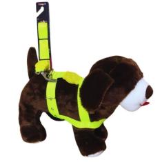 Coleira Peitoral Tradicional Seda Neon Cachorro 25Mm Cor - Nicapet