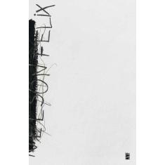 Livro - Nelson Felix