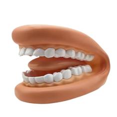 Fantoche BOCA Gigante - Senhor Bocão Sensii