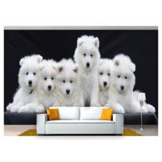 Papel De Parede Cães Filhotes Samoieda 3D Anm242 - Você Decora