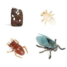 Simulação de Figuras de Ação do Modelo do Ciclo de Crescimento Animal(#Animal 