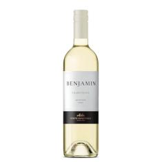 Vinho Argentino Branco Nieto Senetiner Chardonnay